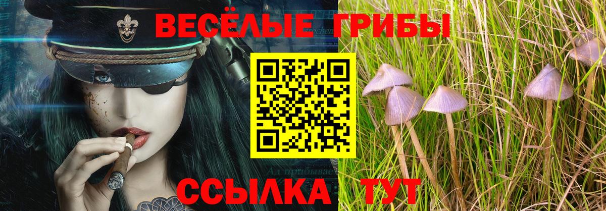 Дюртюли  Псилоцибиновые грибы Psilocybine cubensis  Вход с VPN 