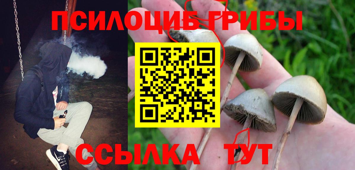 Галлюциногенные грибы Psilocybine cubensis Дюртюли
